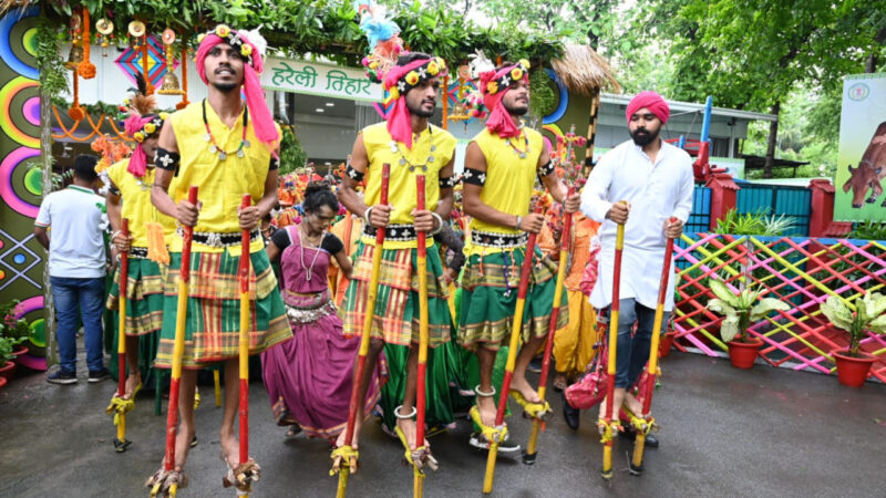 रायपुर : हरेली तिहार के लिए तैयार मुख्यमंत्री निवास