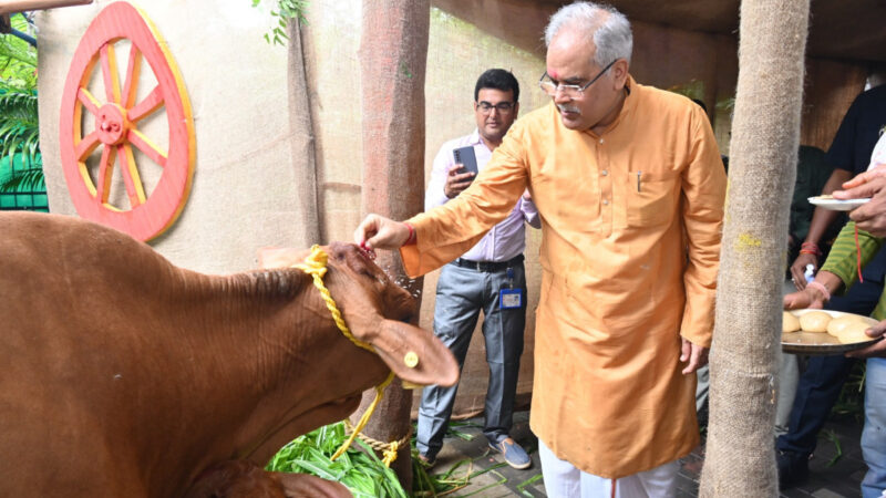 रायपुर : मुख्यमंत्री श्री भूपेश बघेल ने हरेली तिहार पर अत्याधुनिक तकनीक से मुख्यमंत्री निवास में जन्मी बछिया और साहीवाल प्रजाति की उसकी माँ की पूजा=अर्चना की