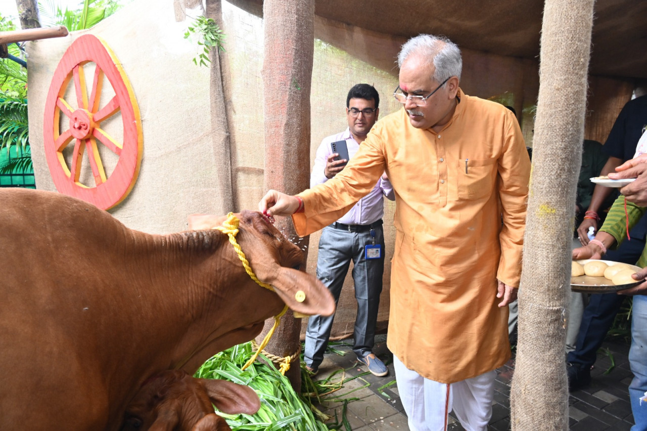 रायपुर : मुख्यमंत्री श्री भूपेश बघेल ने हरेली तिहार पर अत्याधुनिक तकनीक से मुख्यमंत्री निवास में जन्मी बछिया और साहीवाल प्रजाति की उसकी माँ की पूजा=अर्चना की